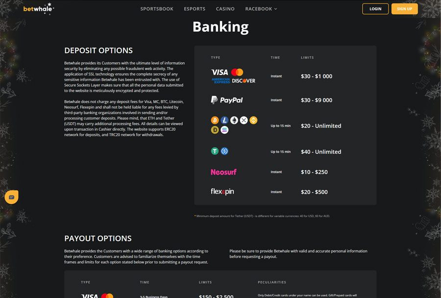 BetWhale Payment Methods and Banking Experience